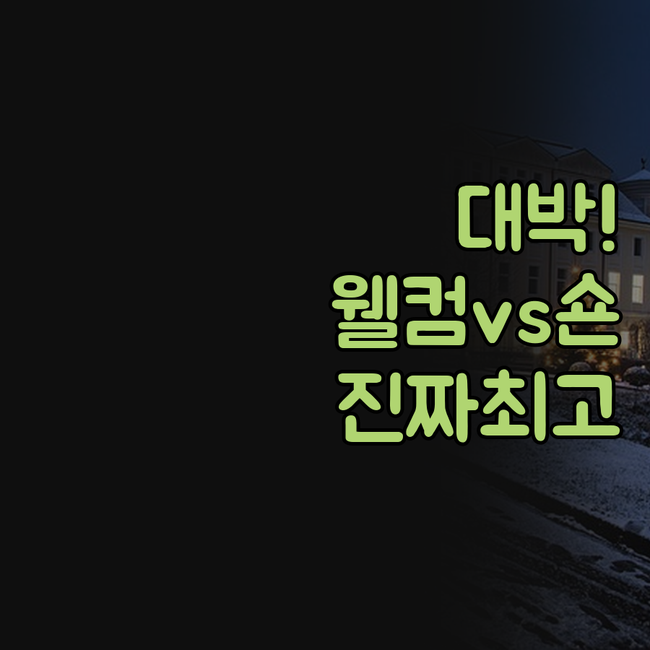 자발푸르 웰컴호텔 숀 엘리제 신축 대..