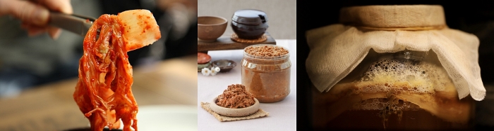 비피더스 b3 음식