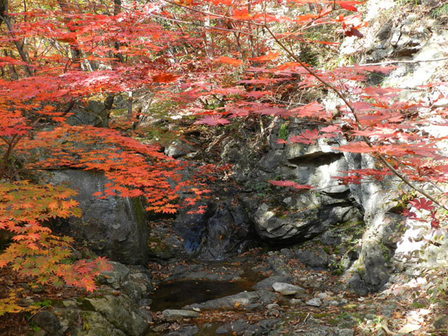 산음자연휴양림 풍경