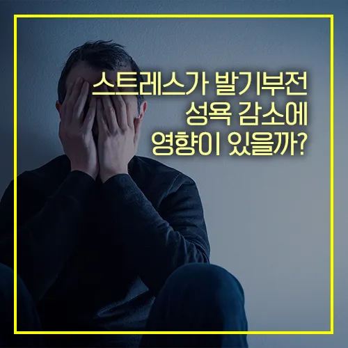 스트레스 발기부전