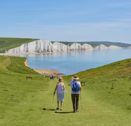 아연 영양제 추천 먹는 시간 부작용