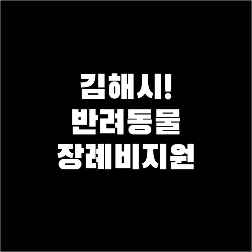 김해시 반려동물 장례비 지원 사업 핵..