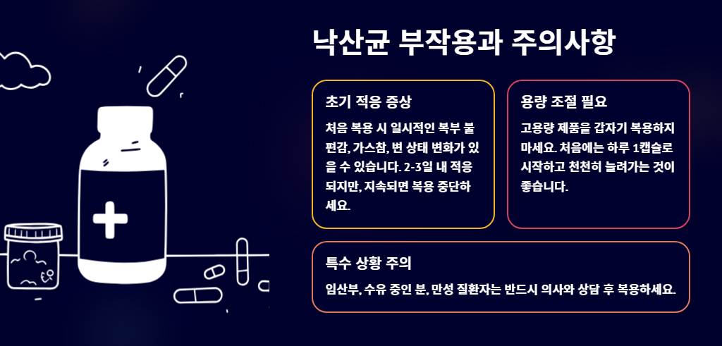 낙산균 효능과 부작용, 꼭 알아야 할 핵심 정보