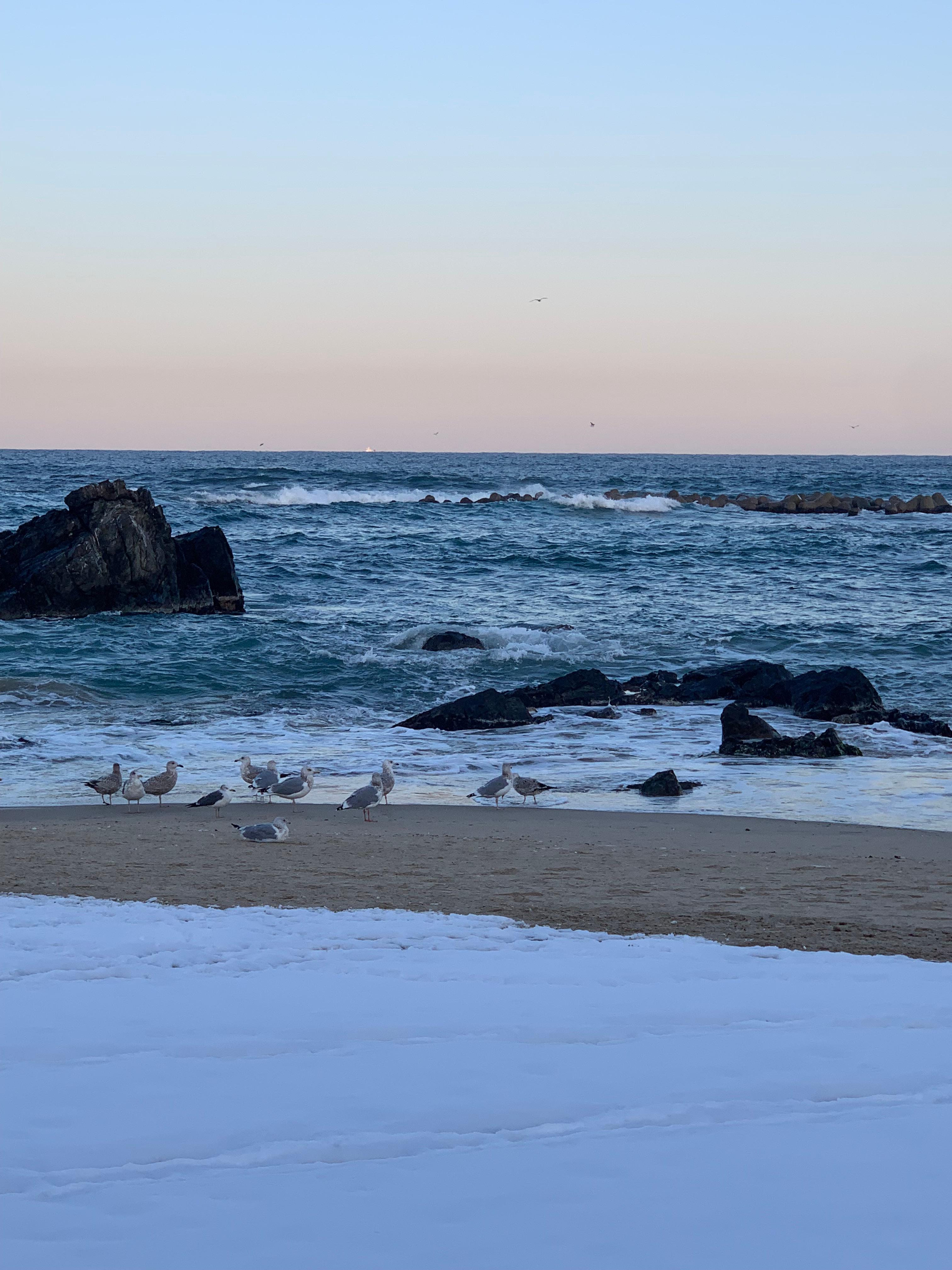 묵호 오션뷰 숙소 어달을담다 후기🌊 통창뷰에 청결까지 완벽한 펜션 추천!