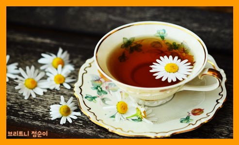 눈건강에 좋은 음식과 눈건강에 좋은 차