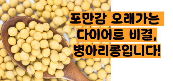 병아리콩 효능 부작용