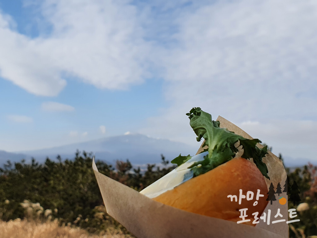 성산 도렐 빵