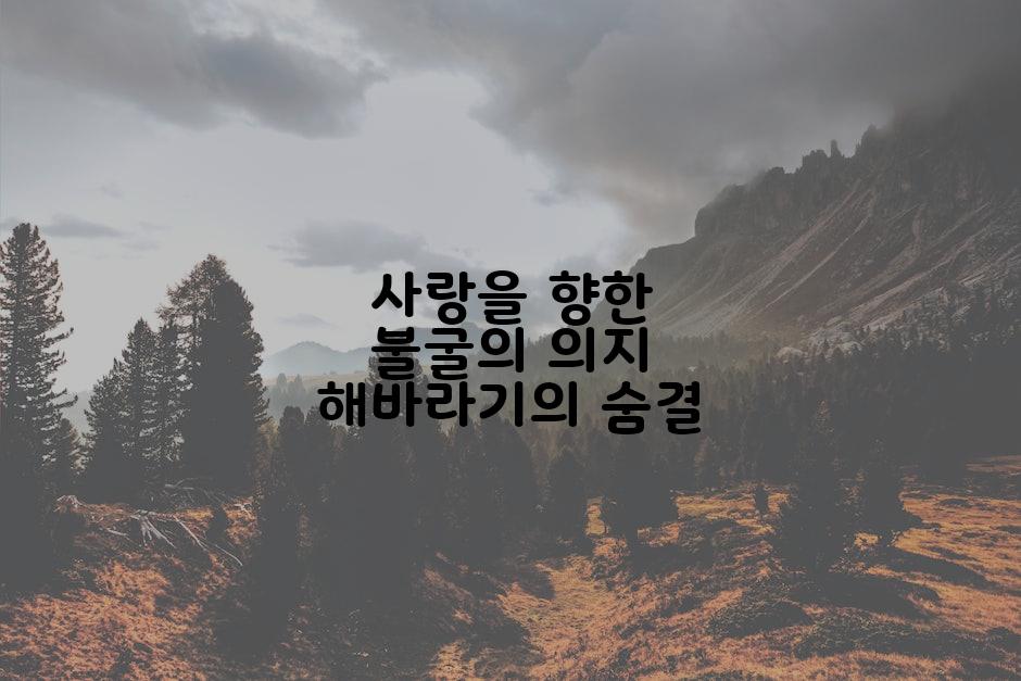 사랑을 향한 불굴의 의지 해바라기의 숨결