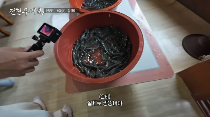 짱뚱어