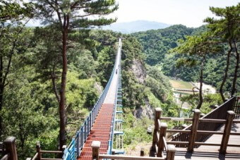 원주 소금산 출렁다리 사진