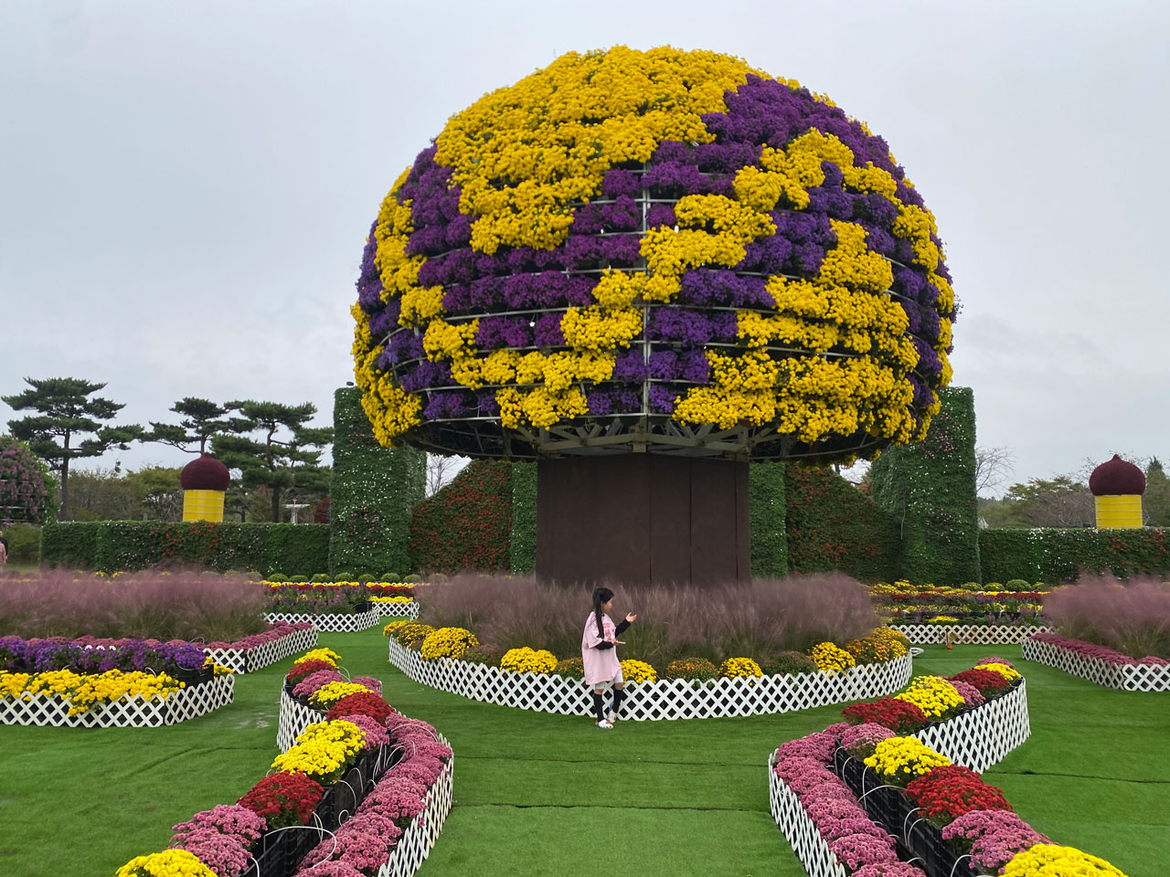 태안 가을꽃박람회에서 원형 트리를 배경으로 사진을 찍는다