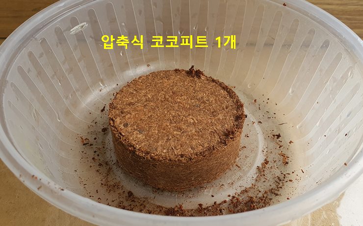 압축식 코코피트 1조각