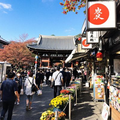 후쿠오카 여행 완벽 가이드