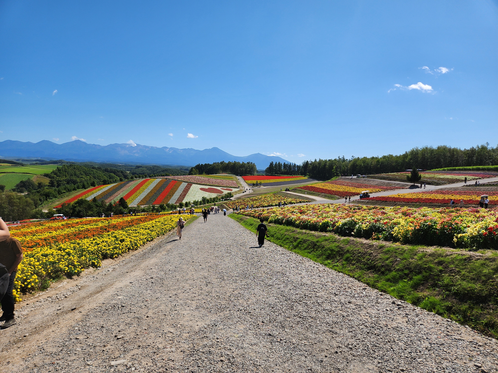 사계체 언덕 - 21