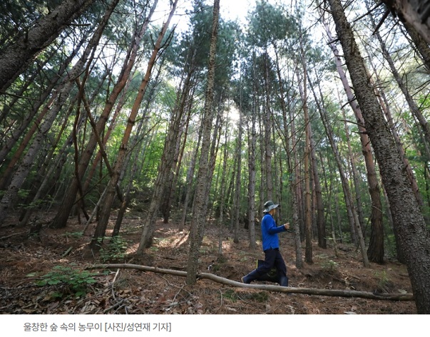 동네한바퀴-봉화-토종벌꿀