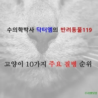고양이 갑상선 기능 항진증 원인 증상 수치 관리법 총정리 정리자료_10