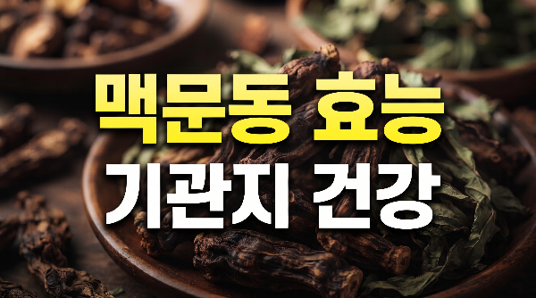 맥문동 효능 제대로 알아보기, 기침과 목 건강에 도움이 될까?(+효과,먹는법, 당뇨, 폐, 부작용)