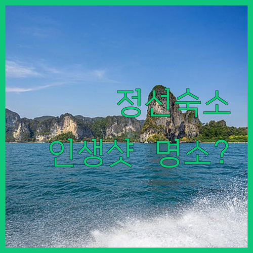 강원도 정선 숙소 추천 리조트 펜션 ..