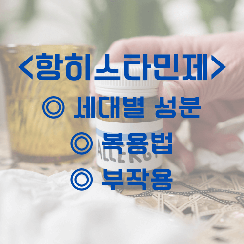 항히스타민제_성분_복용법_부작용