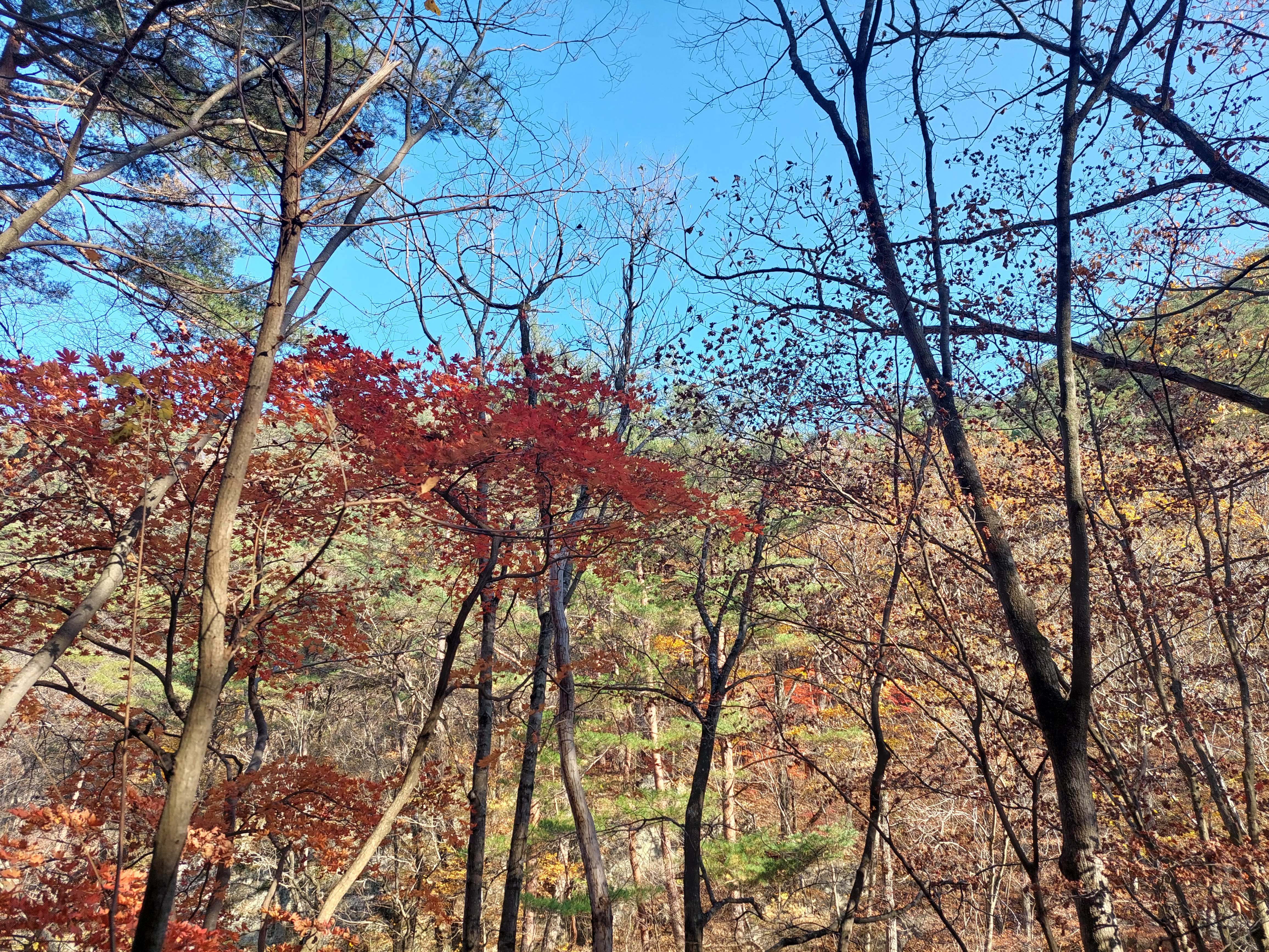 주왕산