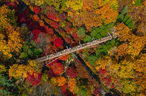 화담숲 가을 단풍축제가 11월 15일까지 한달간 진행합니다. 