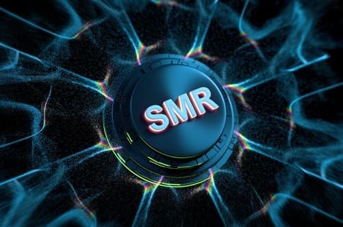 SMR 특별법 통과