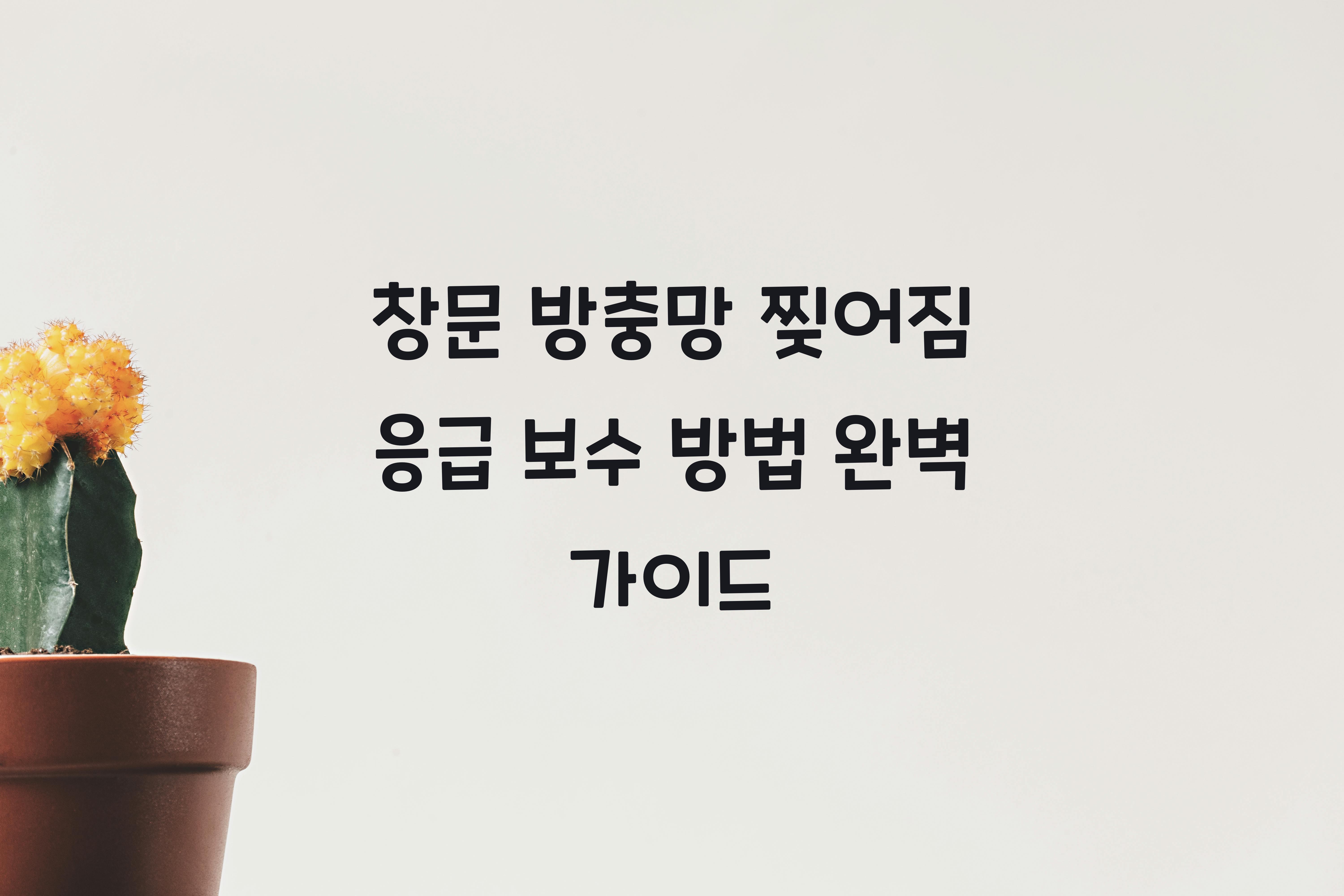 창문 방충망 찢어짐 응급 보수 방법