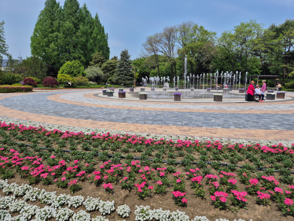 도립화목원 분수광장에 만개한 봄꽃과 시원한 분수