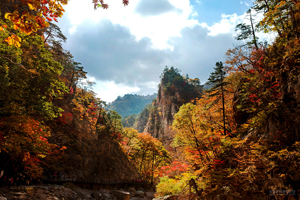 설악산
