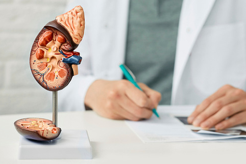 신부전 원인과 치료법 (만성질환, 식습관, 신장관리)