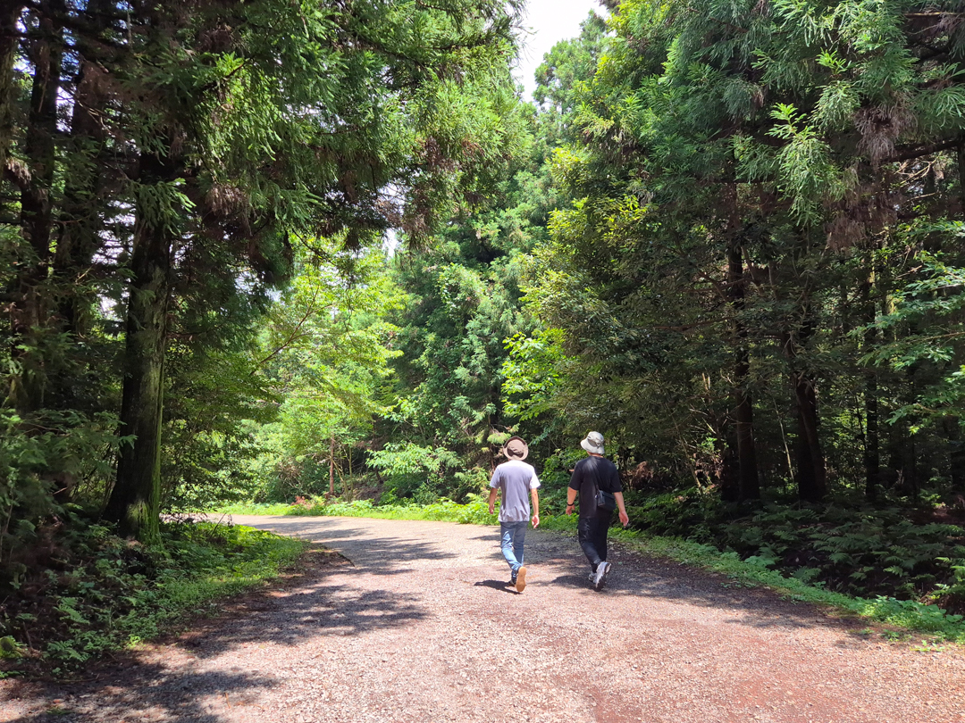 제주 서귀포시 사려니숲