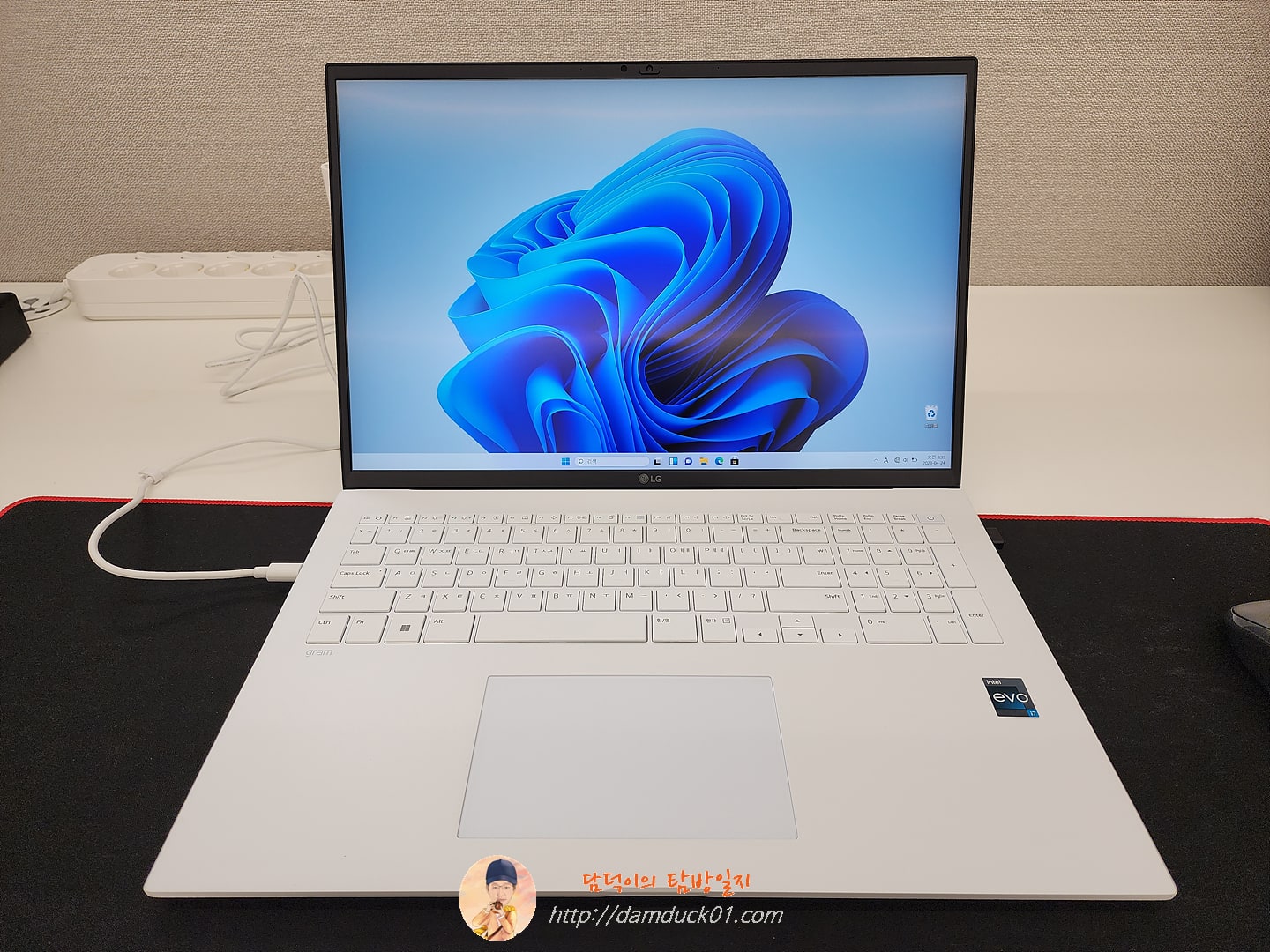 LG전자 2022 그램17(12세대) 17Z90Q-GA76K