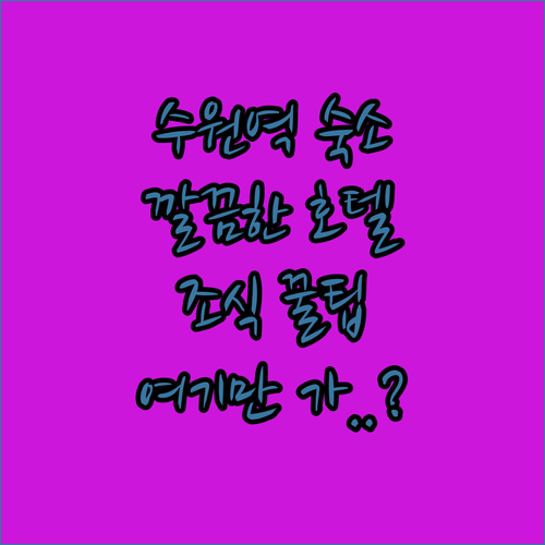 수원역 시청 근처 깔끔한 호텔 5곳 ..