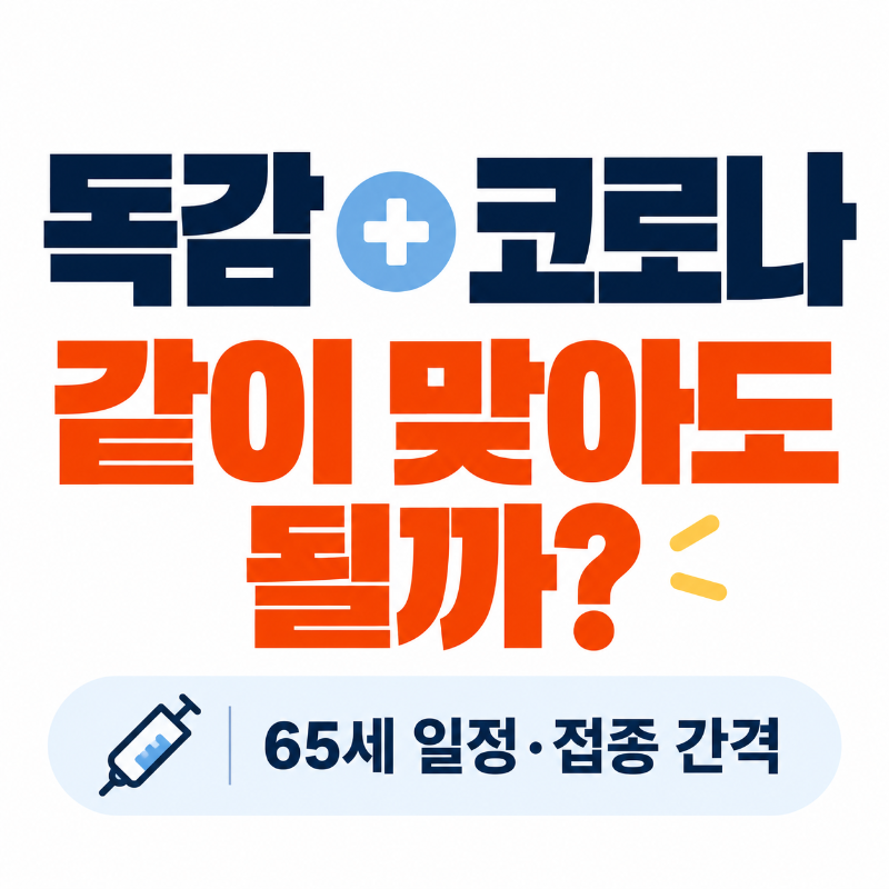 2026 독감 코로나 동시접종 가능 여부와 65세 접종 일정 대표 이미지