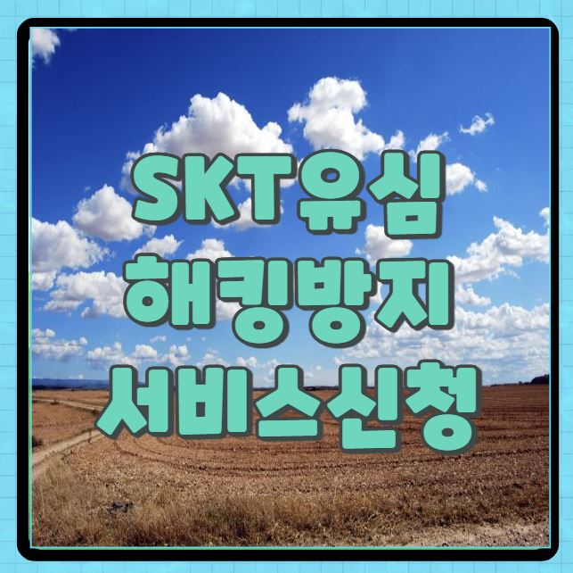 skr유심 해킹 방지