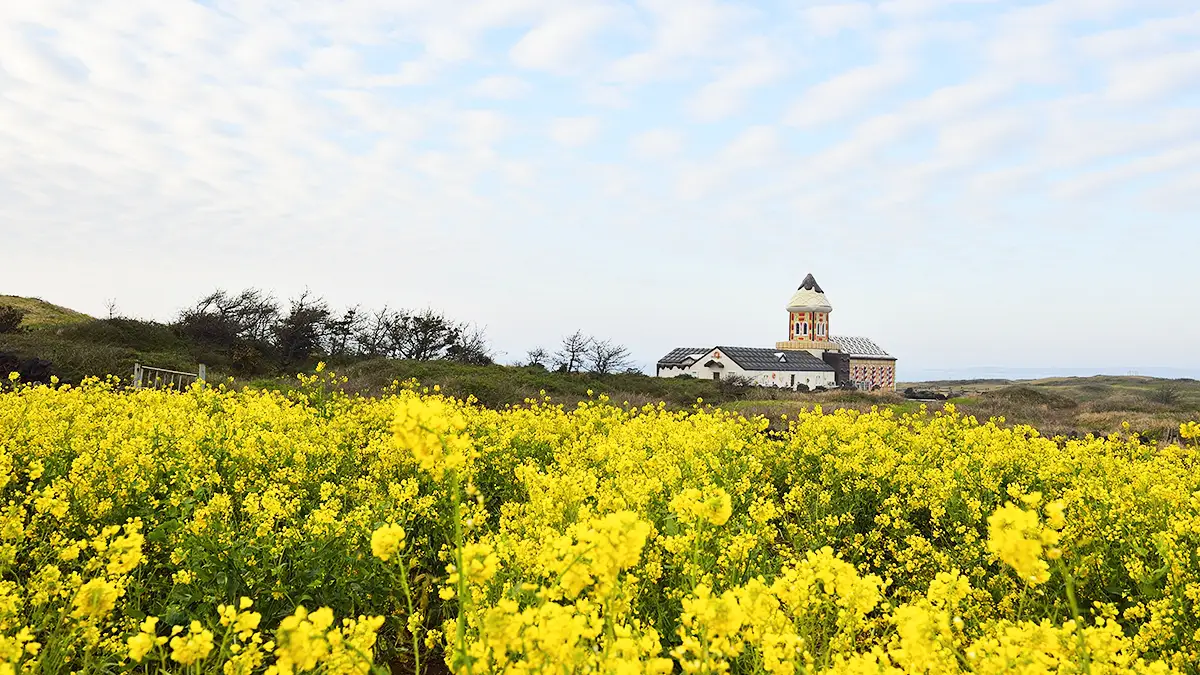 4월 봄 제주 가볼만한곳 명소 TOP 05 데이트 주말 나들이 추천