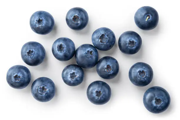 블루베리 보관방법