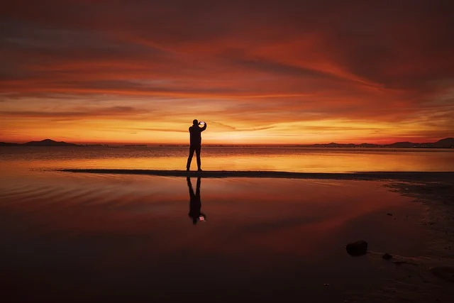 수직 농업과 스마트 기술: 도시 농업의 효율성 극대화