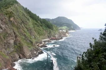 울릉도 가는 방법 여객선 항구 요금 예매 이동수단_16