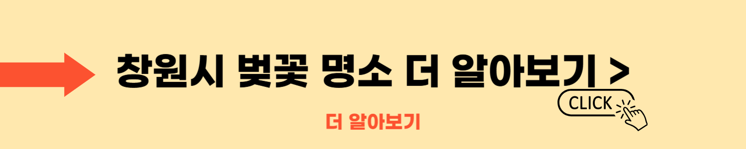 2025 진해군항제 일정·주차·벚꽃 명소 총정리!