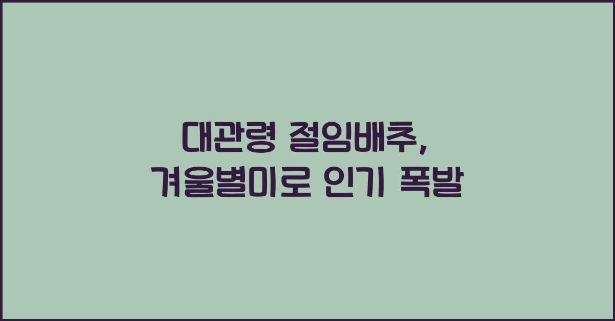 대관령 절임배추