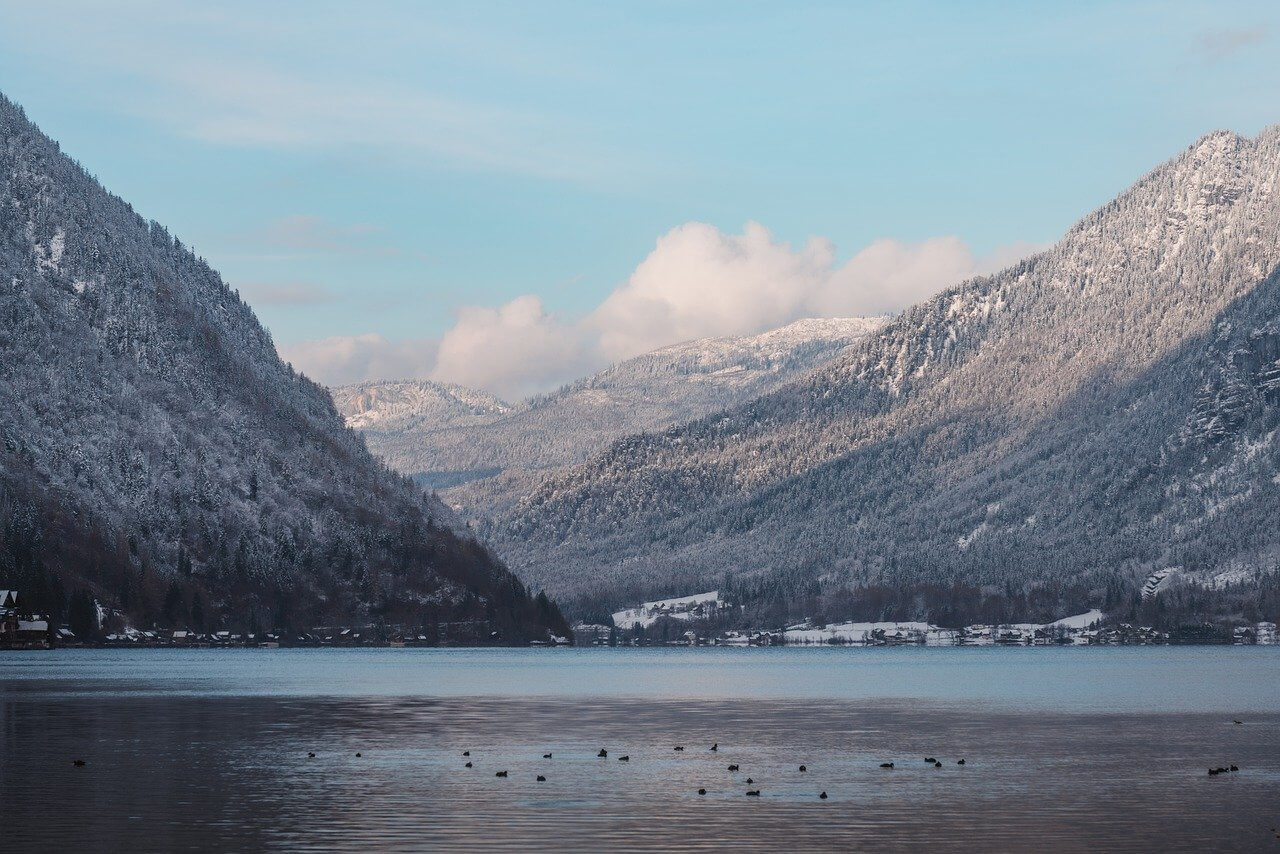 늙은 딸을 키우게 되었다.