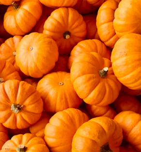 단호박 효능 부작용 영양성분 고르는법 칼로리