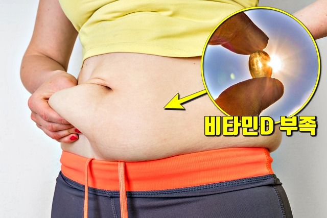 비타민d 부족증상,뱃살 지방