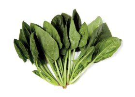 빈혈에 좋은 음식