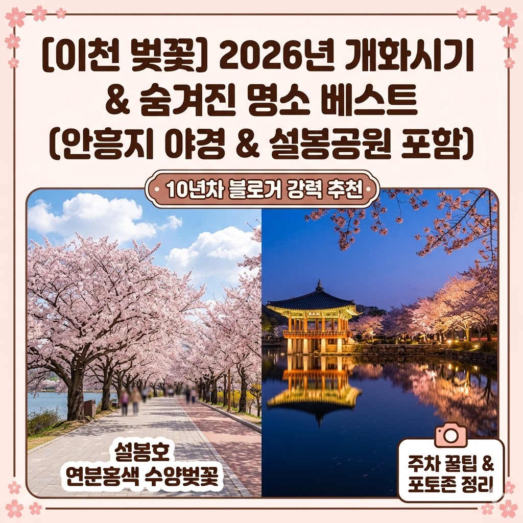 이천 벚꽃 명소