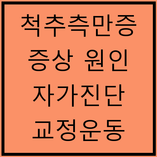 척추측만증 증상 원인 자가진단 교정운동