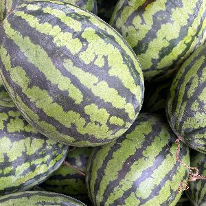 수박 고르는 방법