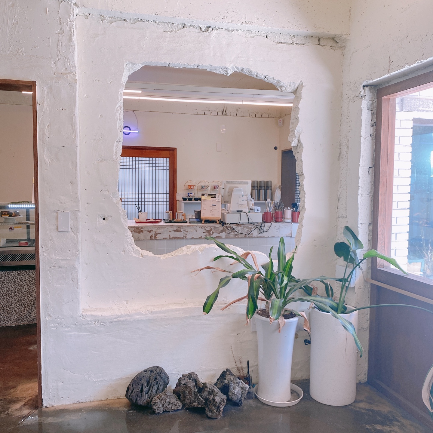 제주시청 대학로거리 주택개조 카페 라토커피