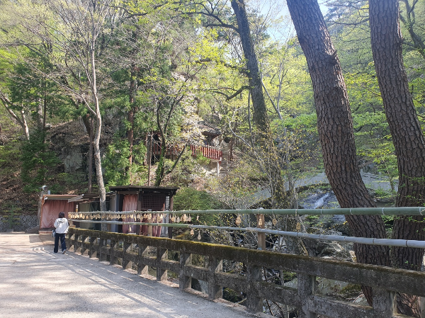 홍룡사 가는길